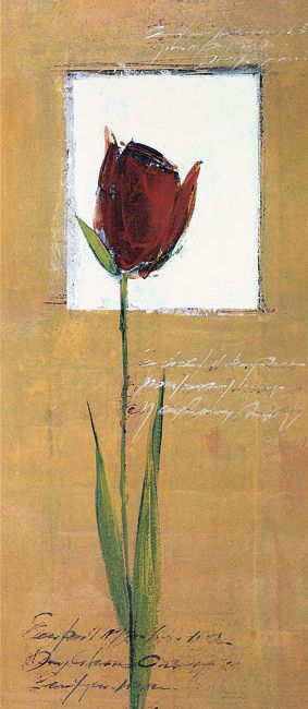 tulipan-ii