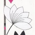 Alan Buckle - Fuchsia Lotus Blooms