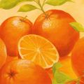 Susanne Bach - Orange Orange