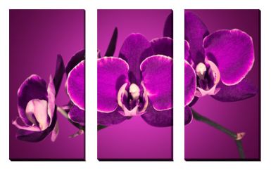 obrazy-na-platne-kvety-i