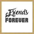Rámované obrazy - Friends Forever 