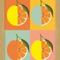 ramované obrazy - Pomeranče