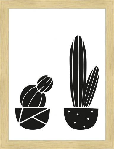 ramovane-obrazy-kaktusy