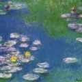 Claude Monet - Ninfee, 1908