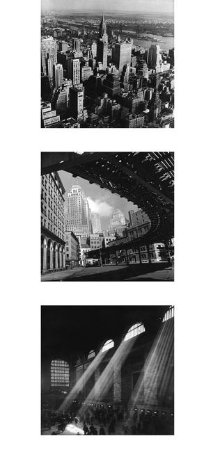 new-york-afternoon-light