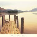Peter Adams - Still