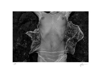 transparency