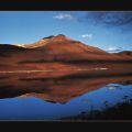 Georges Bosio - Laguna Colorada-Bolivie