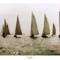 Mariner´s - Yacht Race