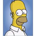 The Simpsons - The Simpsons - Homer J. Simpson