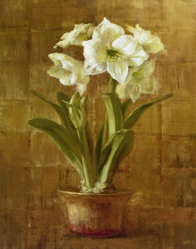 white-amaryllis-on-bronze