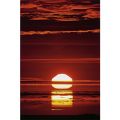 Paul Nicklen - Arctic Sunset