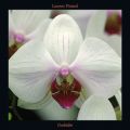 Laurent Pinsard - Orchidées