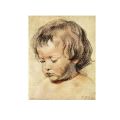 Peter Paul Rubens - Head of a boy
