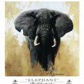 David Shepherd - Elephant