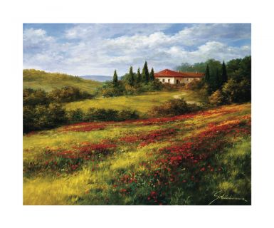 landschaft-mit-mohn-i