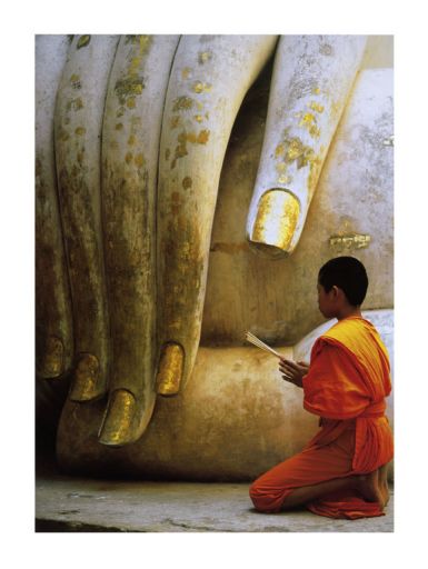 the-hand-of-buddha