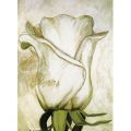 Heidi Gerstner - White Roses 1