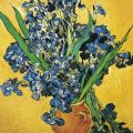 Vincent van Gogh - Les iris