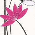 Alan Buckle - Fuchsia Lotus Flowers