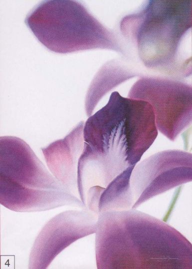 purple-orchid-i