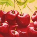 Susanne Bach - Wild Cherries