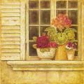 Obrazy - Květiny na okně III