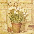 Obrazy - Tulipány v květináči I