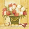 Obrazy - Červené a bílé Tulipány