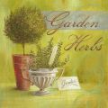 Angela Staehling - Obrazy - Garden Herbs