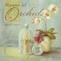 Angela Staehling - Obrazy - House of Orchids II
