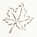 Barbing-Rosenhof - Maple Leaf