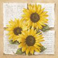 Laura Martinelli - Sunflower Poetry