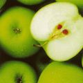 Anonymous - Apples