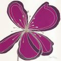 Debbie Halliday - Purple Flower Bloom