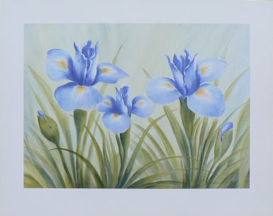 fun-irises