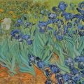 Vincent Van Gogh - Irises