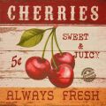 Obrazy na plátně - Cherries