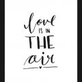 Rámované obrazy - Love is in the air