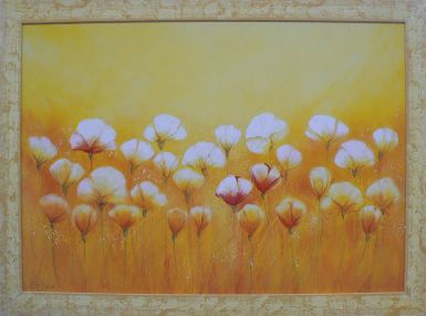 wild-white-poppies