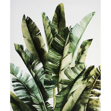 obrazuy-na-platne-plants